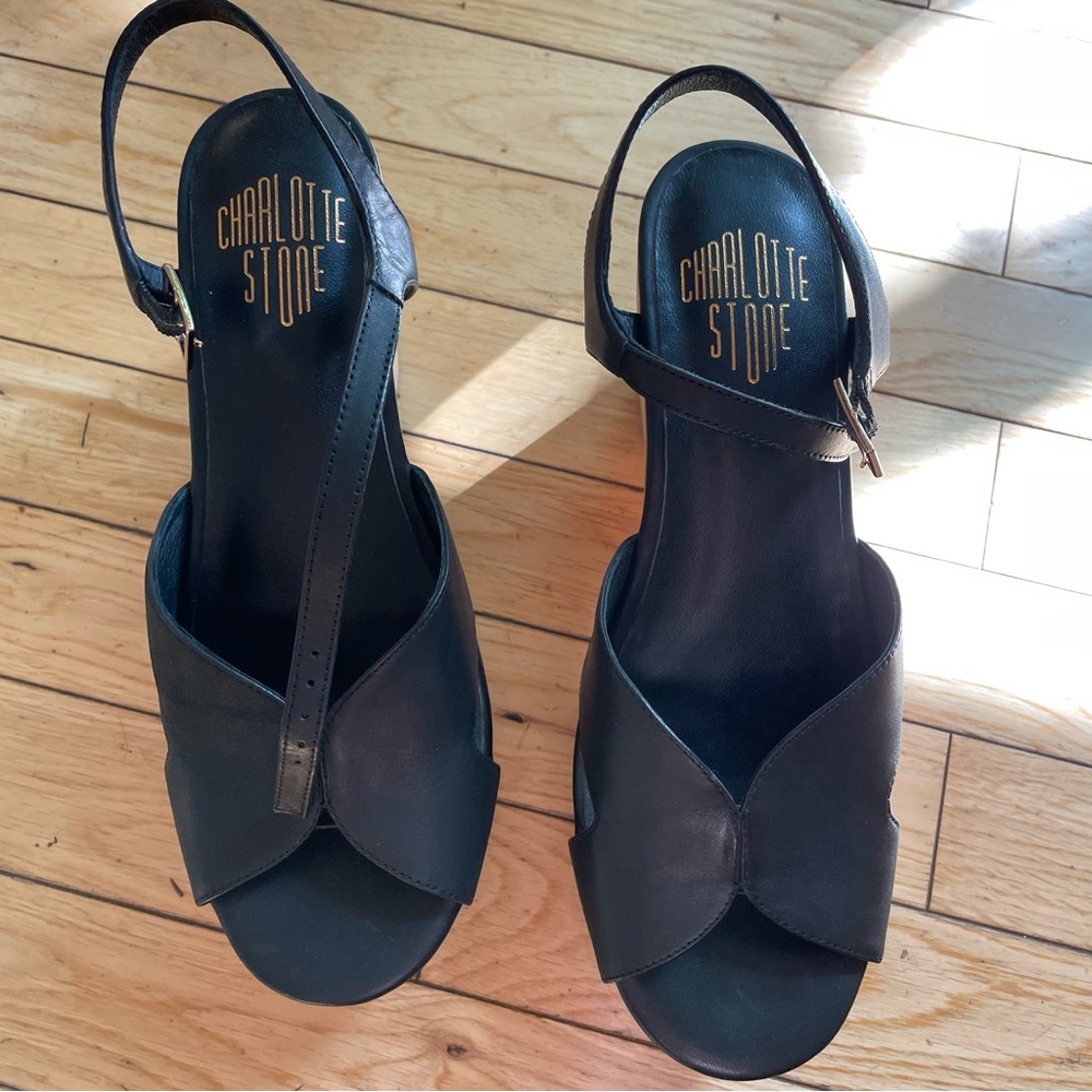 Charlotte Stone Platform Sandals 🖤